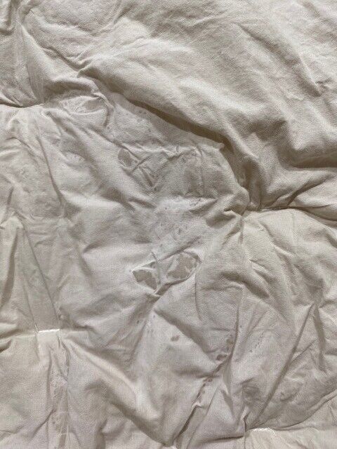 Pottery Barn F/Q Silas Reversible Striped Cotton Comforter, Flax