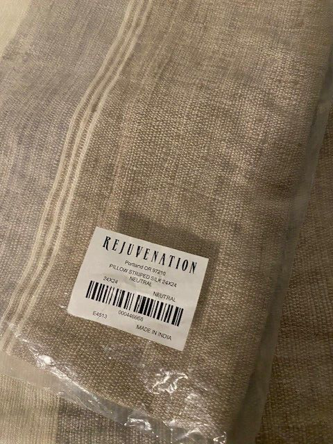 Rejuvenation Striped Silk 24 x 24 in Pillow Cover, Neutral