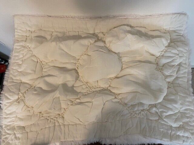 Pottery Barn Teen Quilted Std Sham Chloe Sherpa Ivory