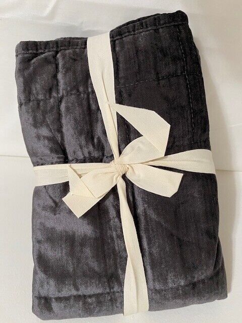 West Elm Ebony Velvet Euro Pillow Sham 26 X 26